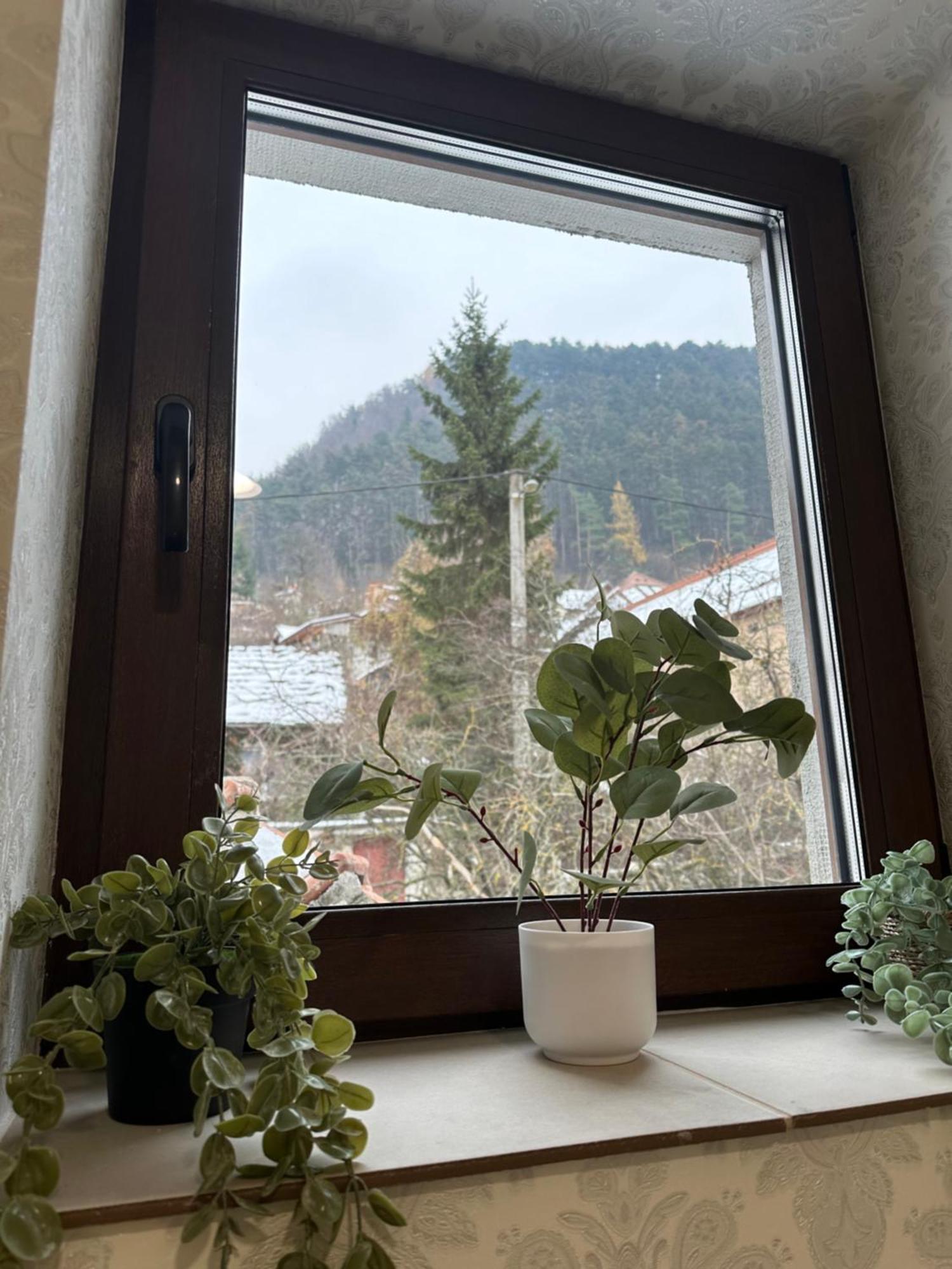 Schei House Appartement Braşov Buitenkant foto